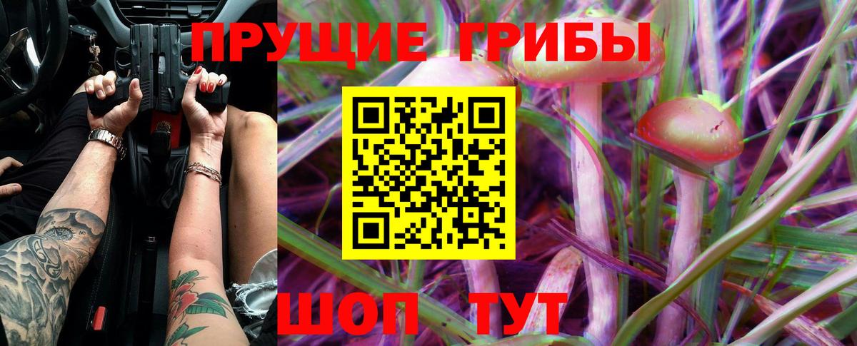 Галлюциногенные грибы Psilocybine cubensis  Вход с VPN  Избербаш 